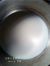 自制豆浆酸奶的做法步骤1